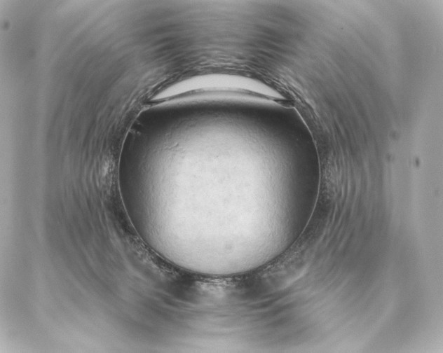 X0000086940079200704231408