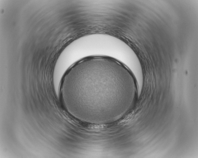 X0000086940084200704231408