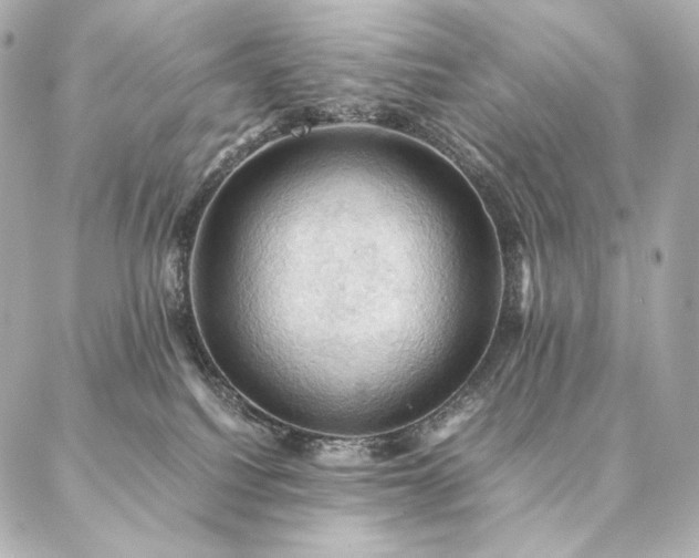 X0000086940088200704231408
