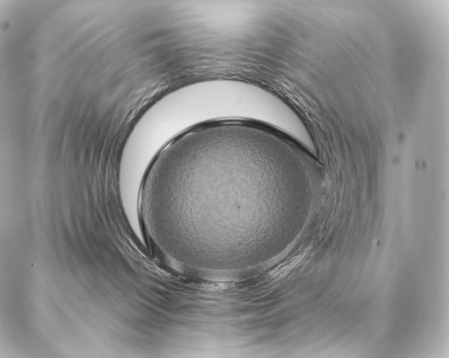 X0000086940096200704231408