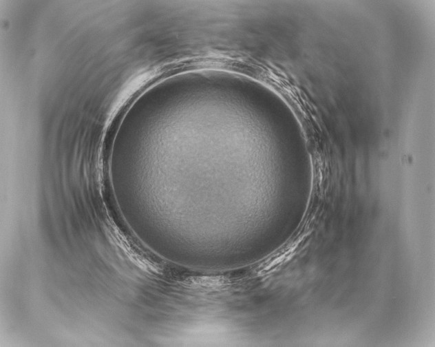 X0000086940102200704231407
