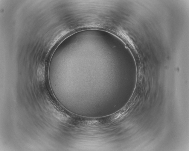 X0000086940108200704231407