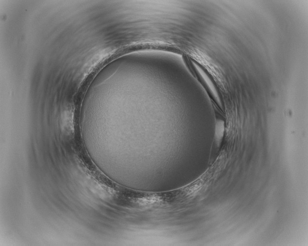 X0000086940112200704231407