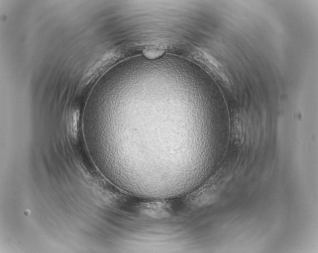 X0000086940118200704231407
