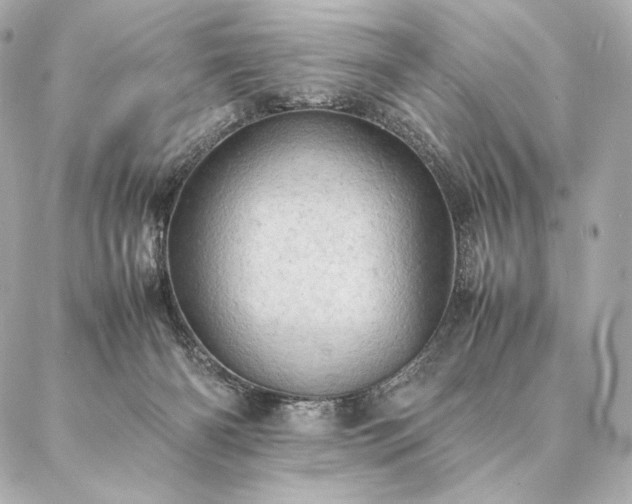 X0000086940126200704231407
