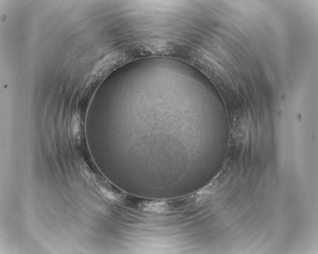 X0000086940132200704231407