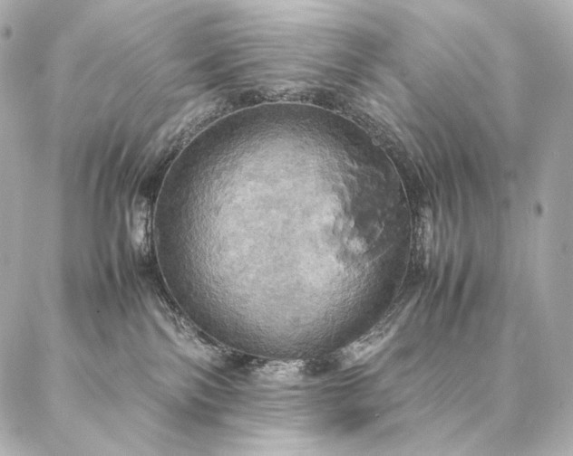 X0000086940138200704231407