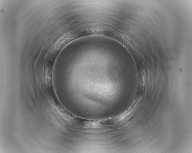 X0000086940140200704231407