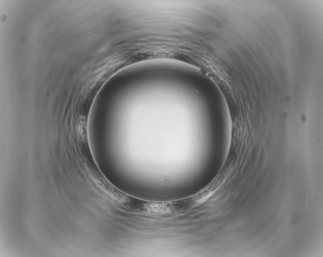 X0000086940141200704231407