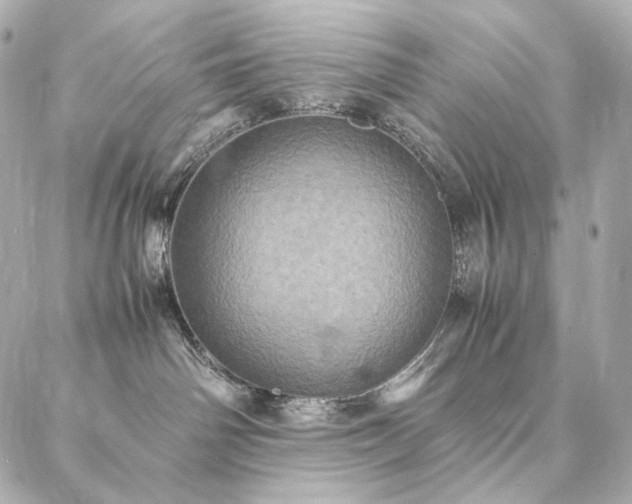 X0000086940142200704231407