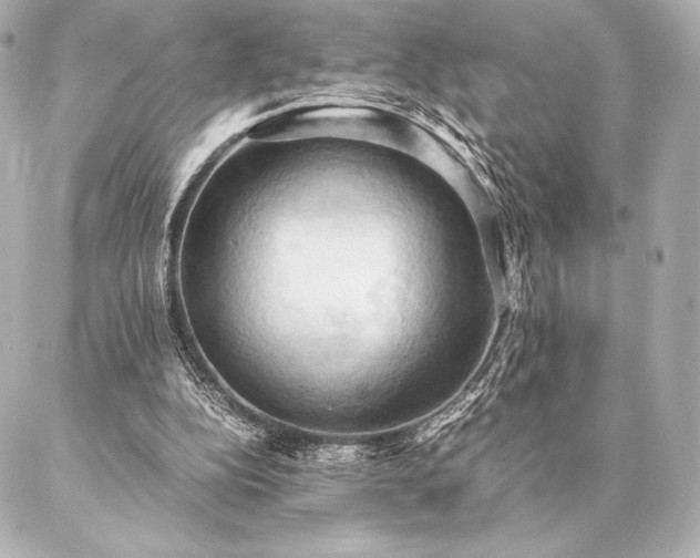 X0000086940152200704231406