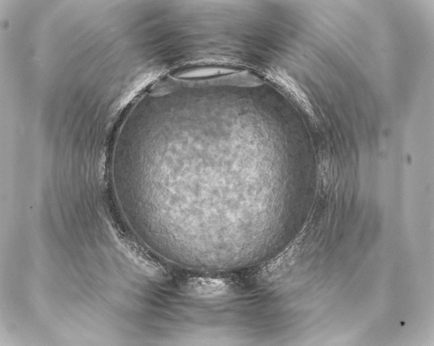 X0000086940159200704231406