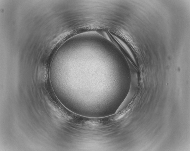 X0000086940164200704231406