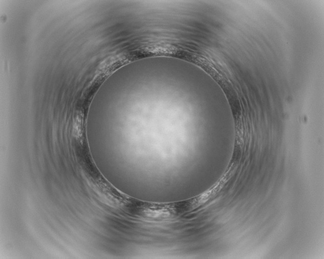 X0000086940175200704231406