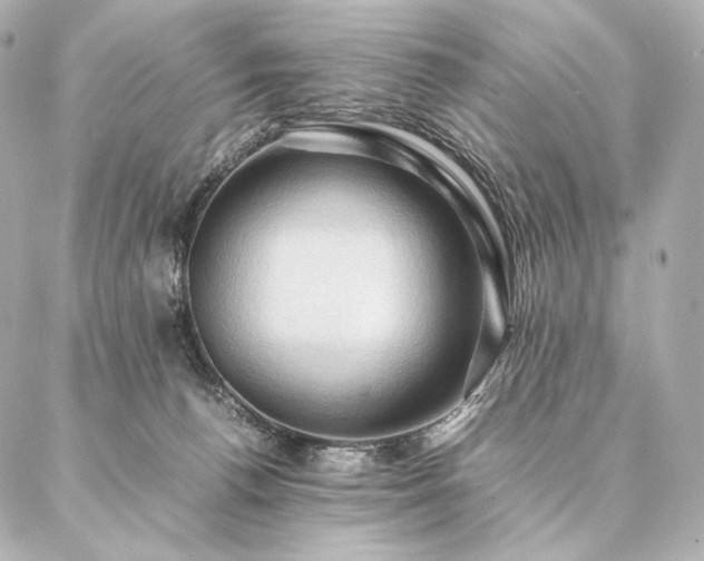 X0000086940176200704231406