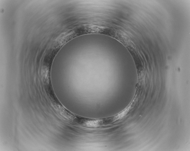 X0000086940178200704231406