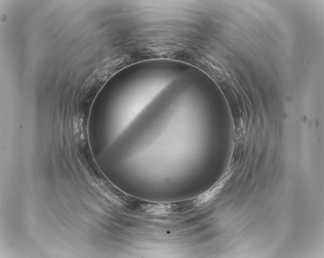 X0000086940182200704231407