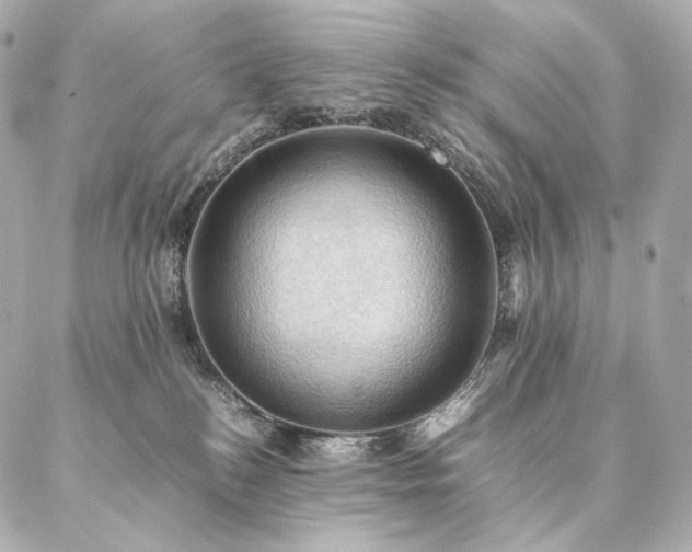 X0000086940184200704231407