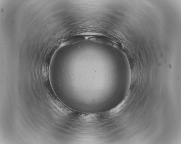 X0000086940186200704231407