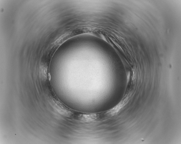 X0000086940188200704231407