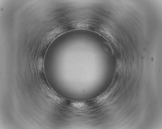 X0000086940189200704231407