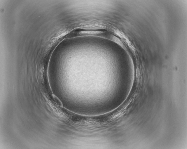 X0000086940201200704231406