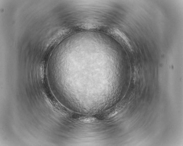 X0000086940210200704231406
