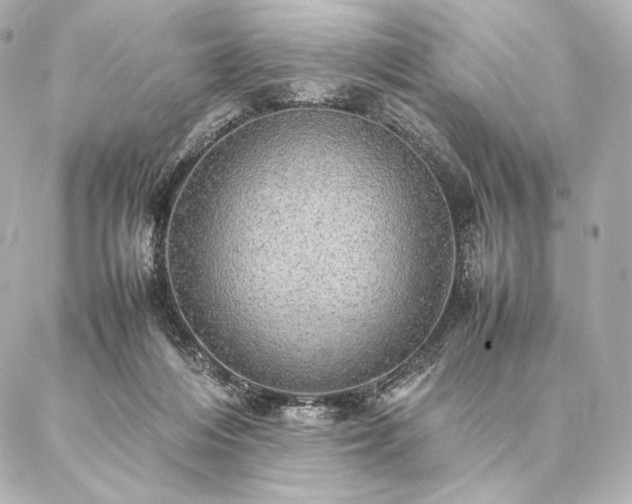 X0000086940216200704231406