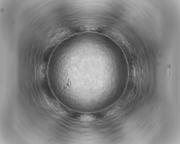 X0000086940218200704231405