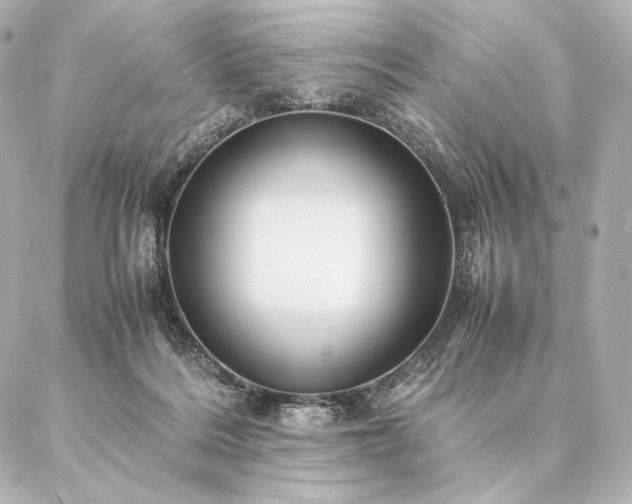 X0000086940220200704231405