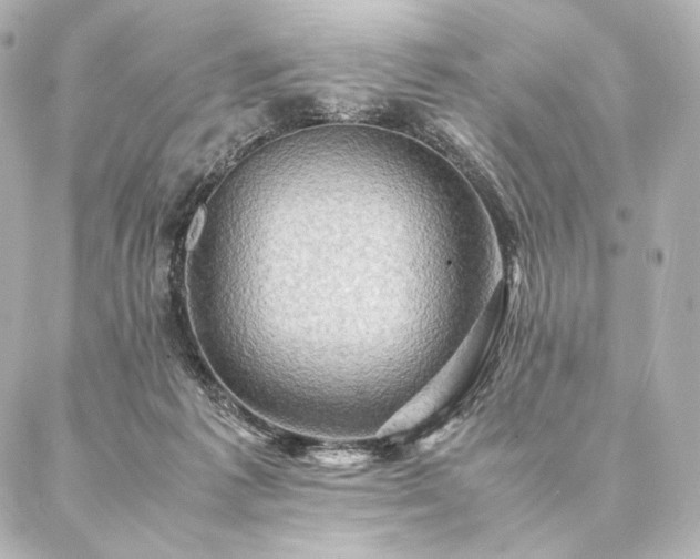 X0000086940221200704231405