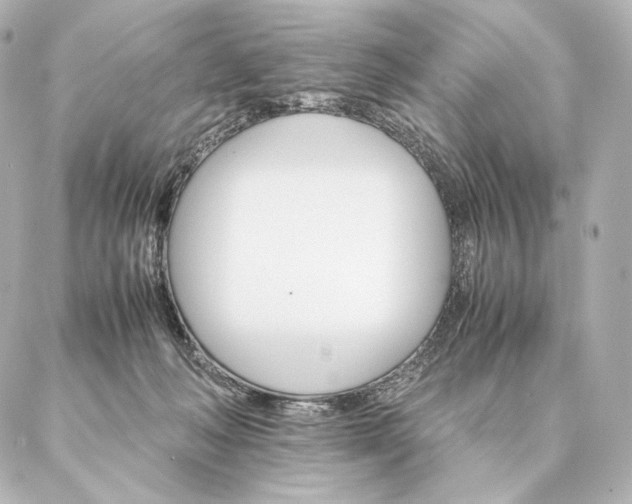 X0000086940222200704231405