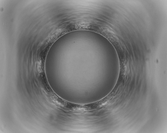 X0000086940224200704231405