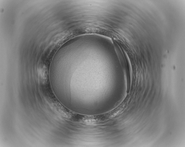 X0000086940228200704231405