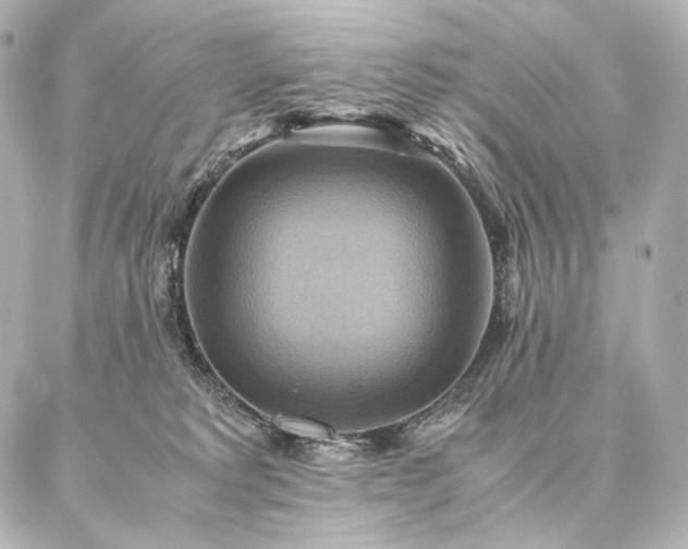 X0000086940229200704231405