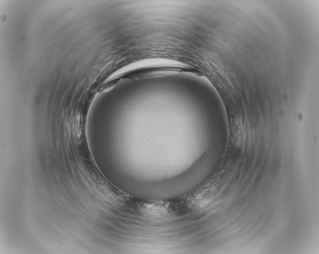 X0000086940232200704231405