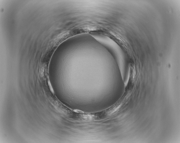 X0000086940233200704231405