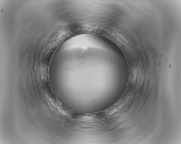 X0000086940236200704231405