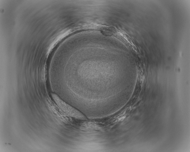 X0000086940244200704231404