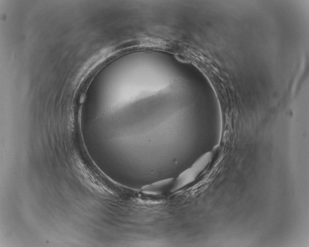 X0000086940247200704231404