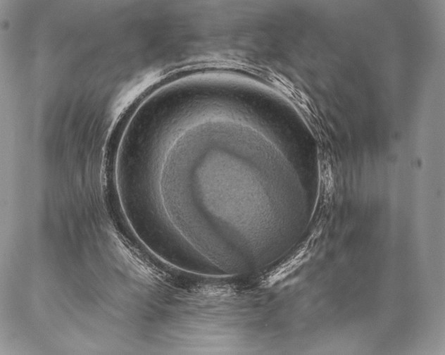 X0000086940248200704231404
