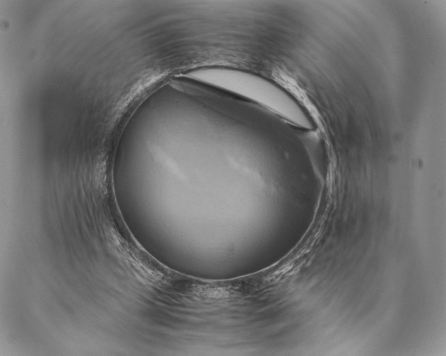 X0000086940249200704231404