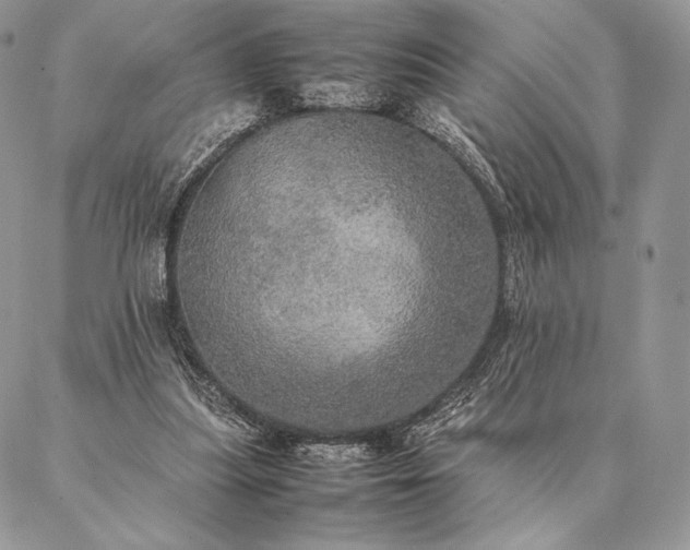 X0000086940251200704231405