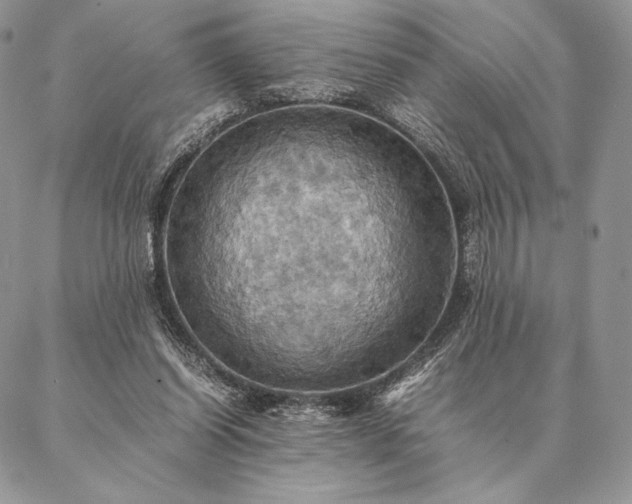 X0000086940254200704231405