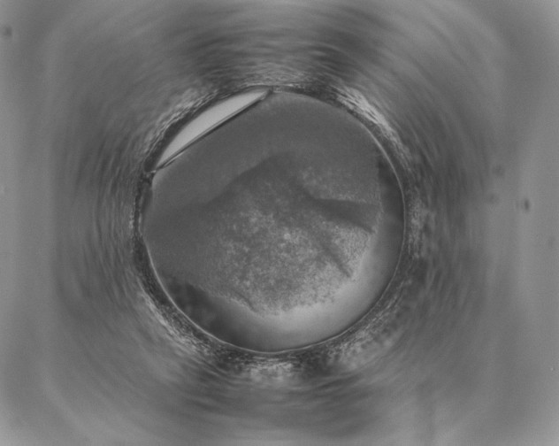 X0000086940257200704231405