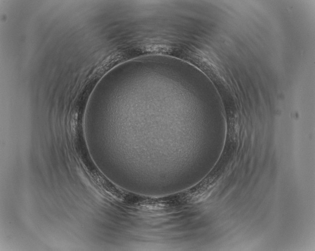 X0000086940263200704231405