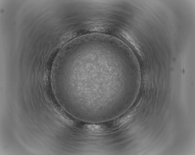 X0000086940265200704231405