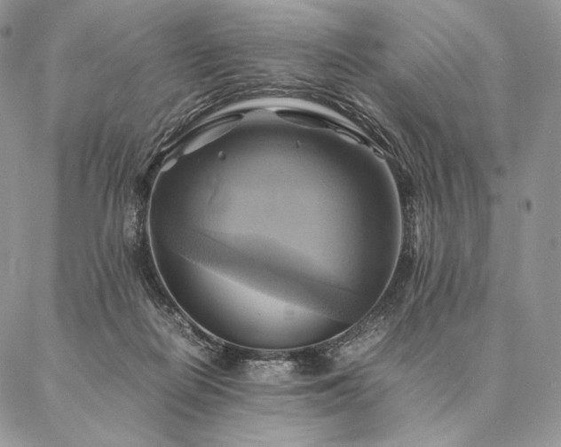 X0000086940266200704231405
