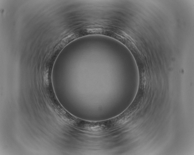 X0000086940267200704231405