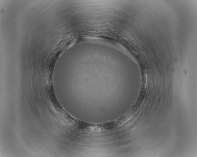 X0000086940272200704231405